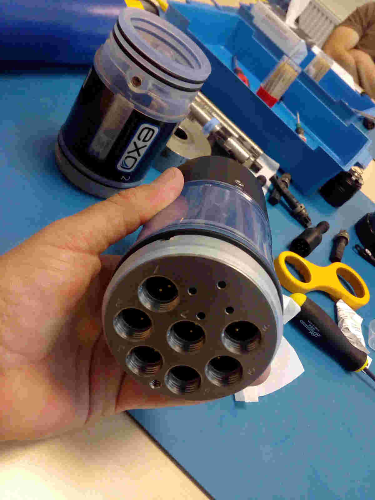Sonde