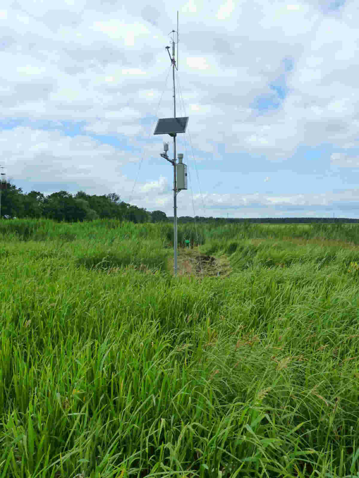 Monitoring, Umwelt Monitoring