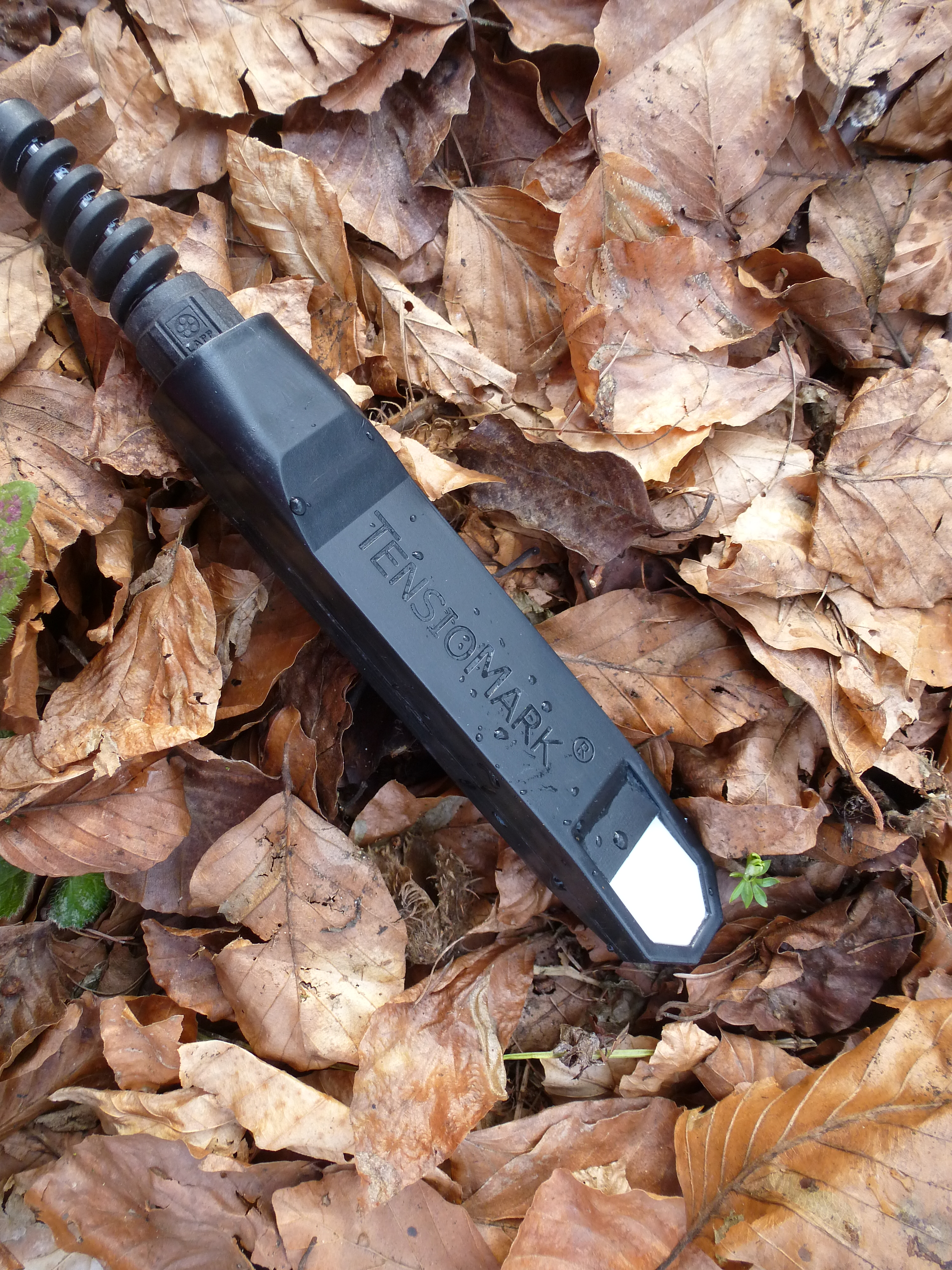 Tensiomark Sensor